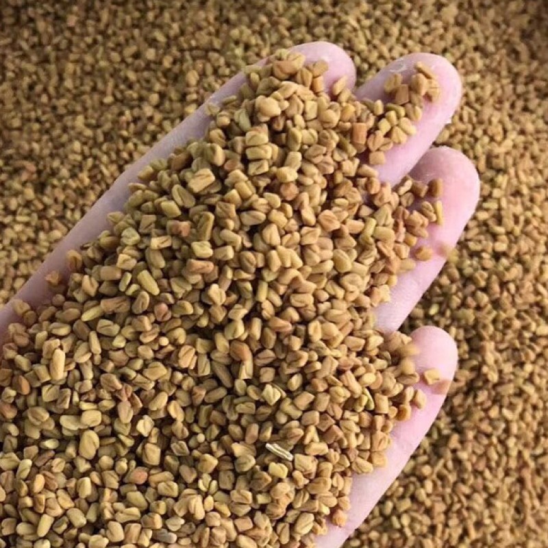 Fenugreek Seeds Manufacturer - Organic Herbs Tea