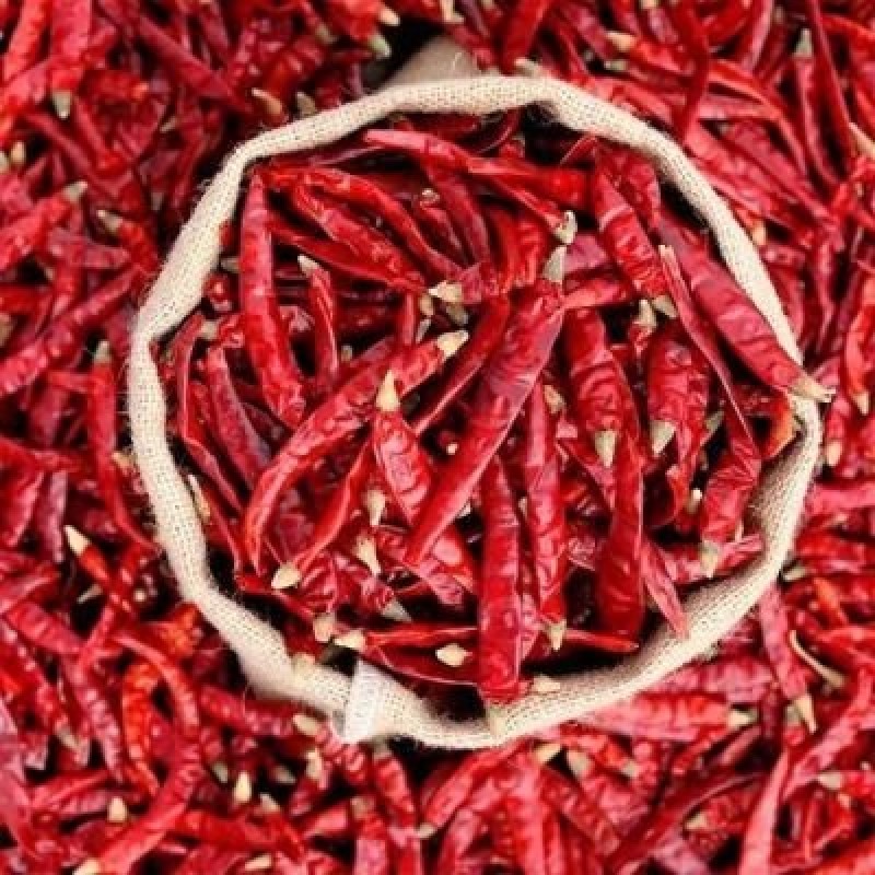 Red Chili Peppers Manufacturer - Top Selling Seasoning