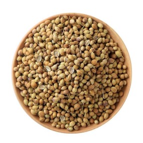 Coriander Seeds Manufacturer - Organic Spices Seasoning