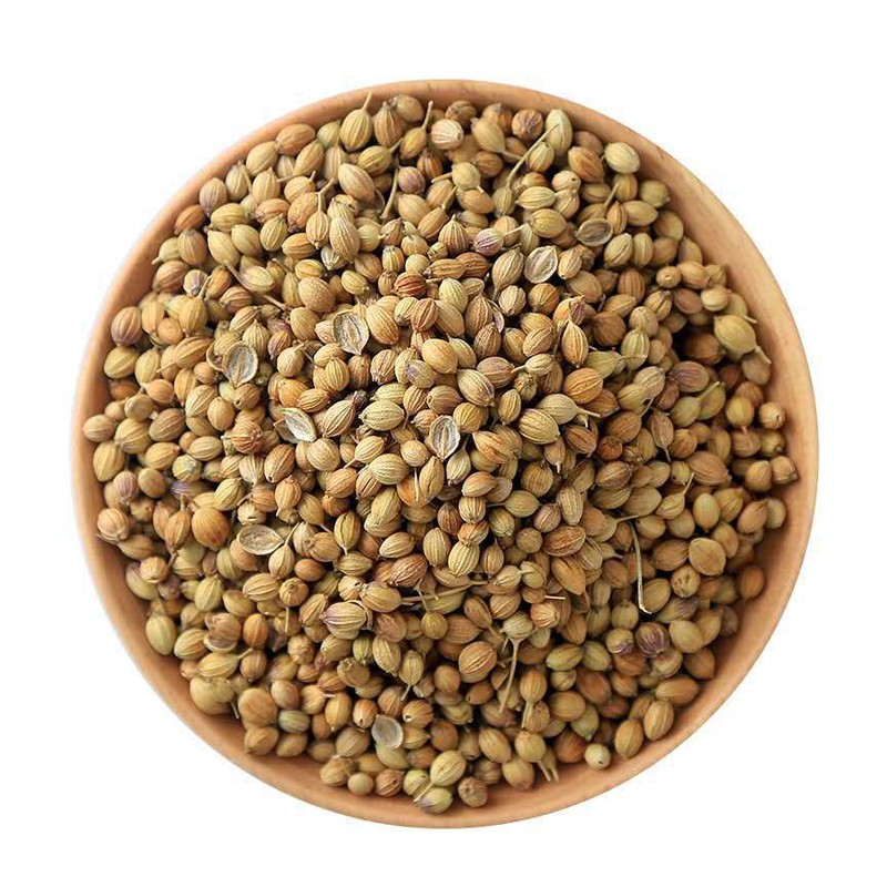 Coriander Seeds Manufacturer - Organic Spices Seasoning