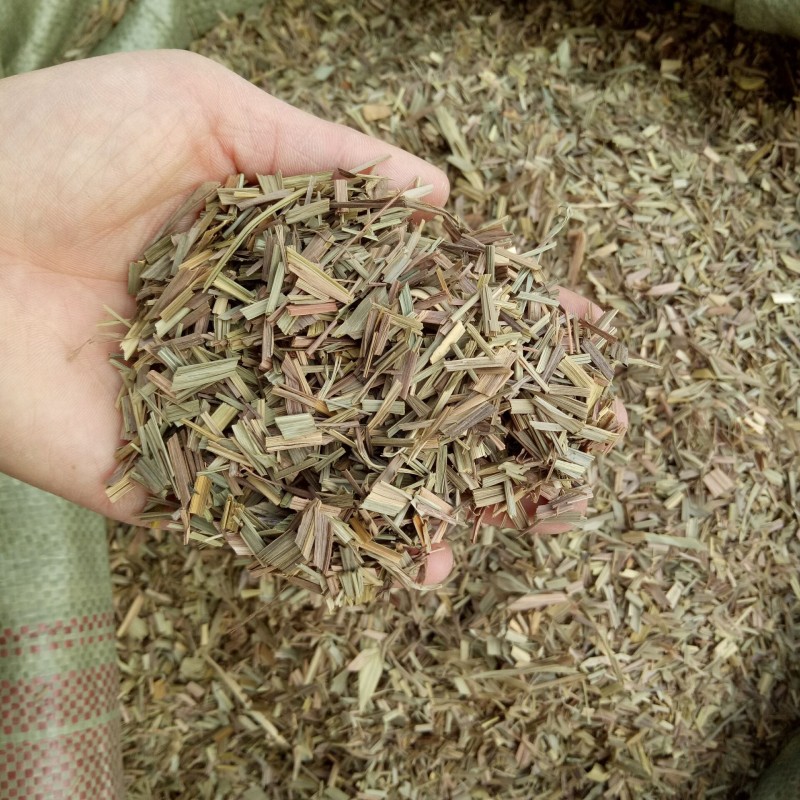 Organic Lemongrass Supplier - Affordable Price Aromatic