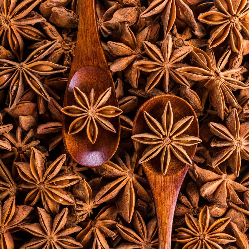 Star Anise Seeds Factory - Customized Whole Spice
