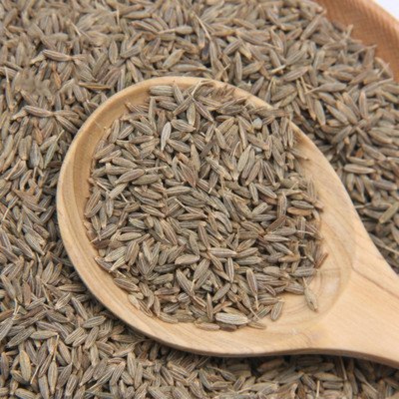 Cumin Seeds Factory - China Suppliers Organic