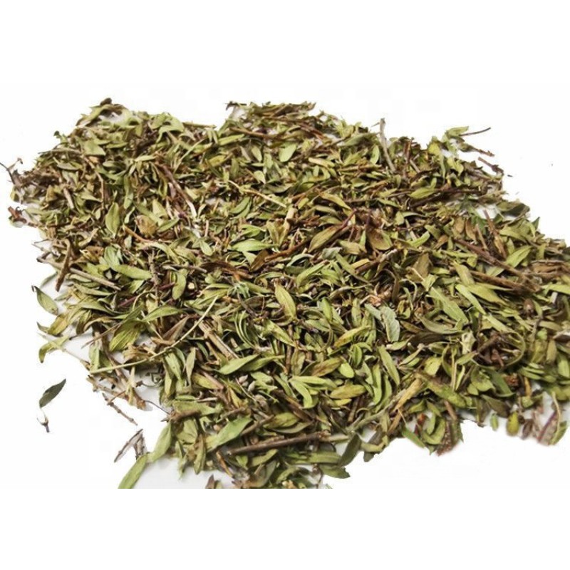 Dried Thyme Supplier - Wholesale Natural Green