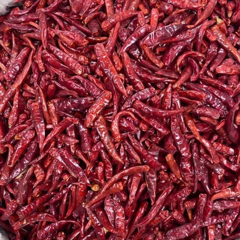 Red Chili Peppers Manufacturer - Top Selling Seasoning