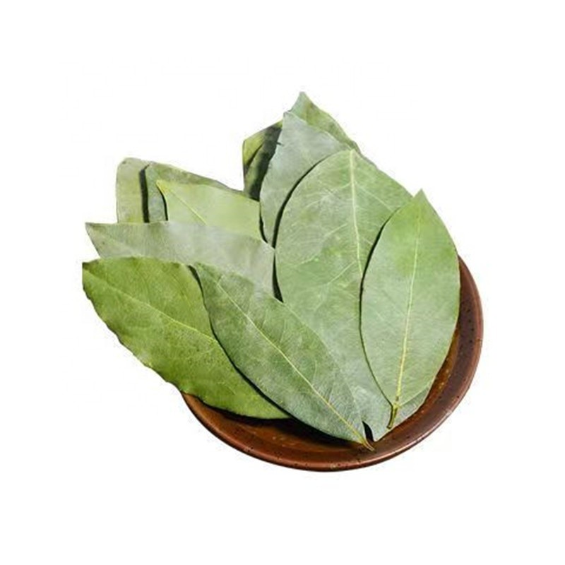 Bay Leaf Supplier - Wholesale Seasoning Spice