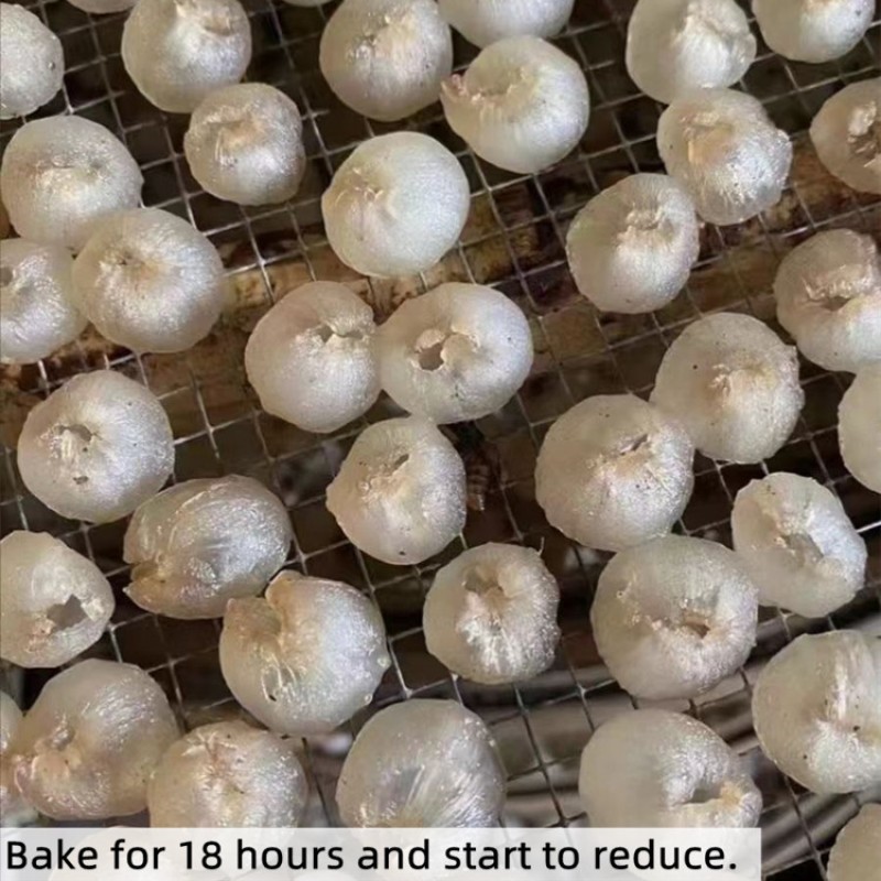 Dried Longan Supplier - Wholesale Peeled Fruit Meat