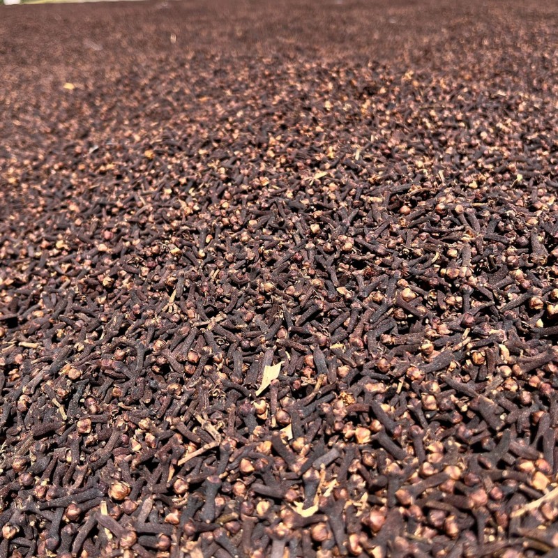 Dried Cloves Supplier - Yulin Spices Product