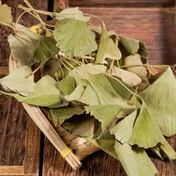 Gingko Leaf Supplier - Good Price Spice Herb
