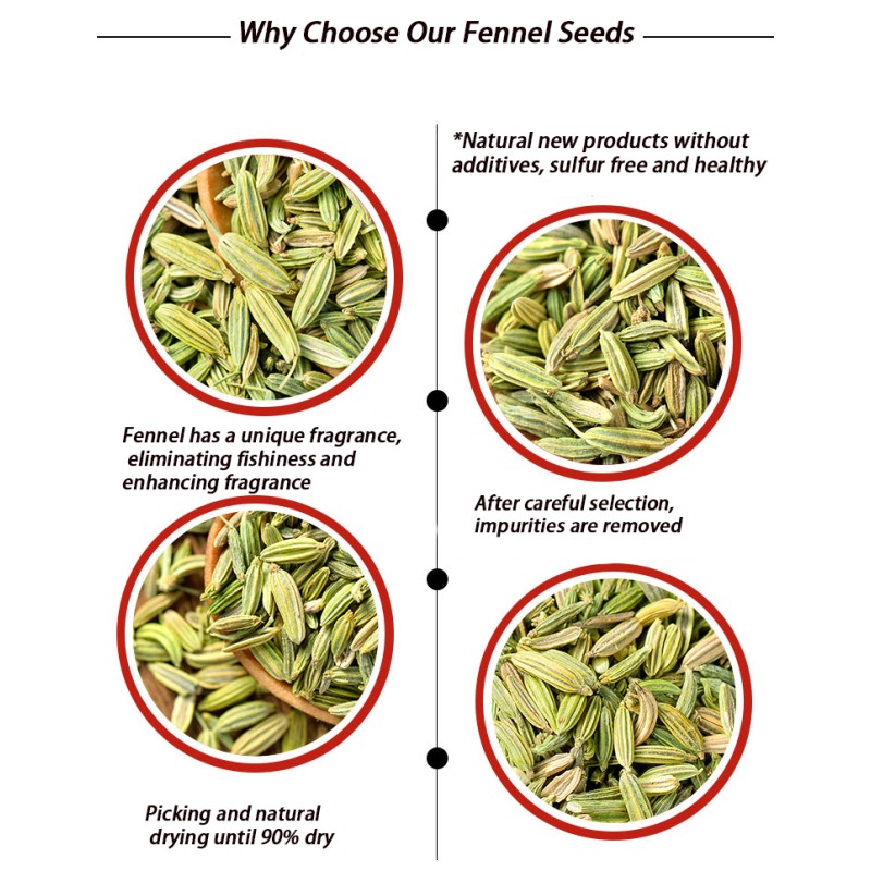 Dried Fennel Seeds Manufacturer - Customizable Organic