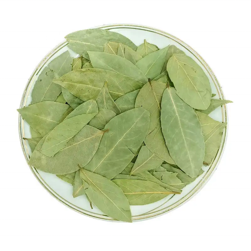 Laurel Leaves Supplier - Nature Color Single Spice