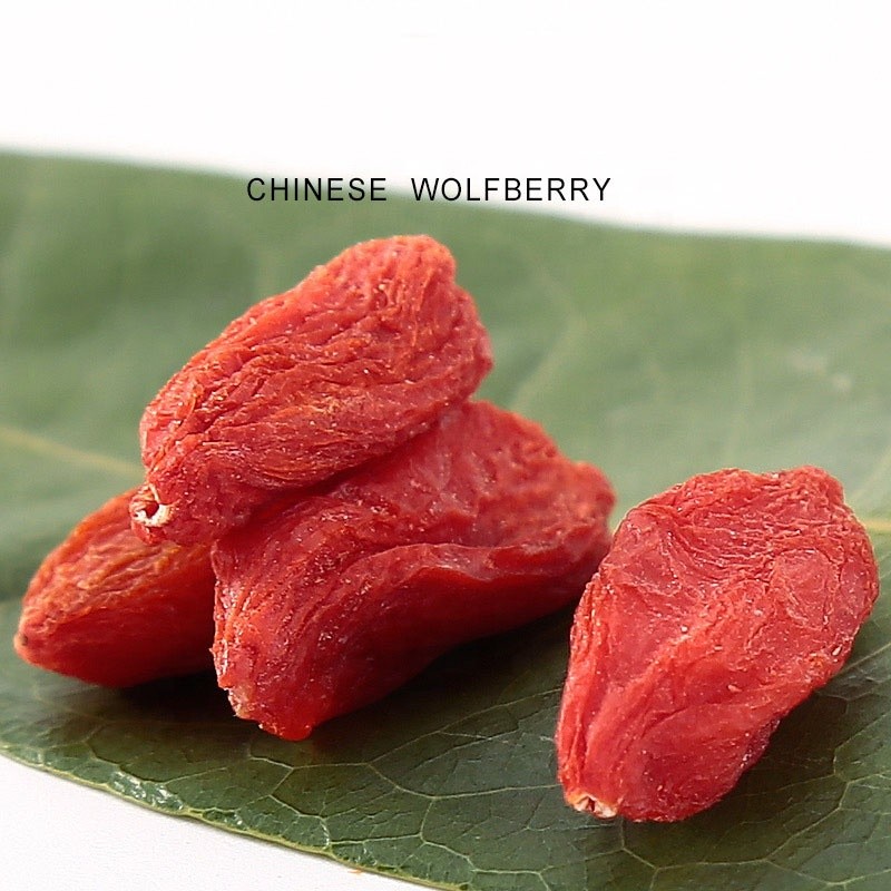 Organic Goji Berries Factory - Ningxia Red Wolfberry