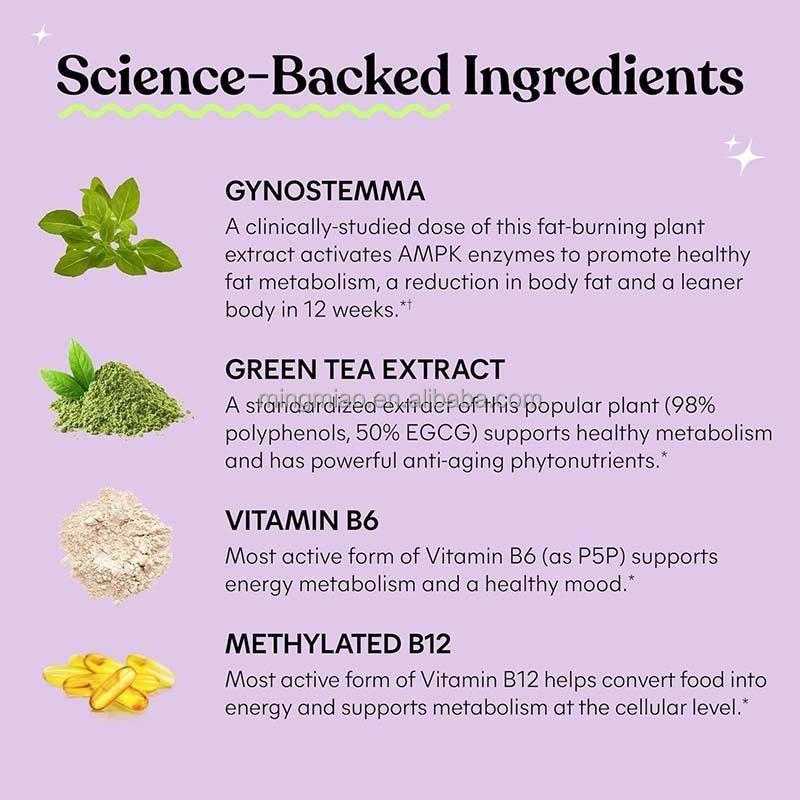 Herbal Weight Management Supplier - Capsules Metabolic Support