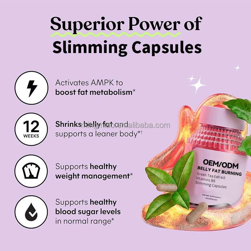 Herbal Weight Management Supplier - Capsules Metabolic Support