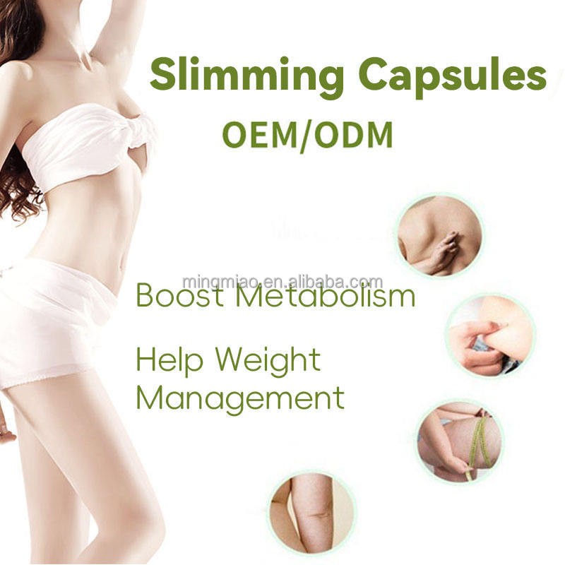 Herbal Weight Management Supplier - Capsules Metabolic Support
