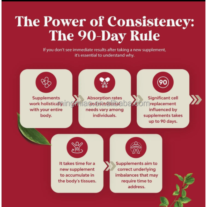 Maca Root Capsules Supplier - Herbal Energy Vitality