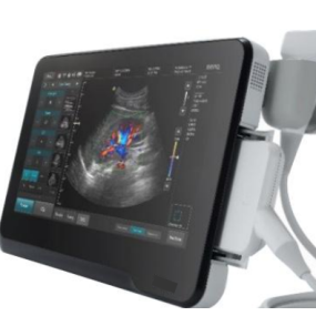 Veterinary Ultrasound Supplier - Color Doppler Small Animal