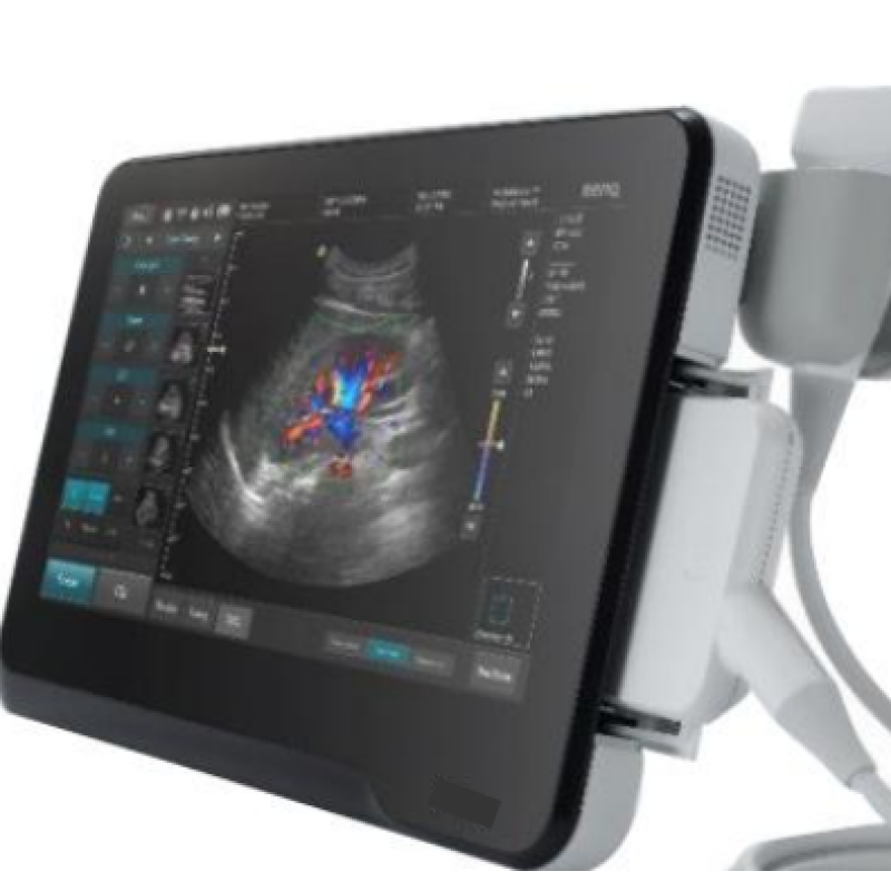 Veterinary Ultrasound Supplier - Color Doppler Small Animal