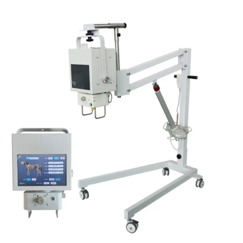 Portable X-ray Machine Factory - Digital 5KW Veterinary
