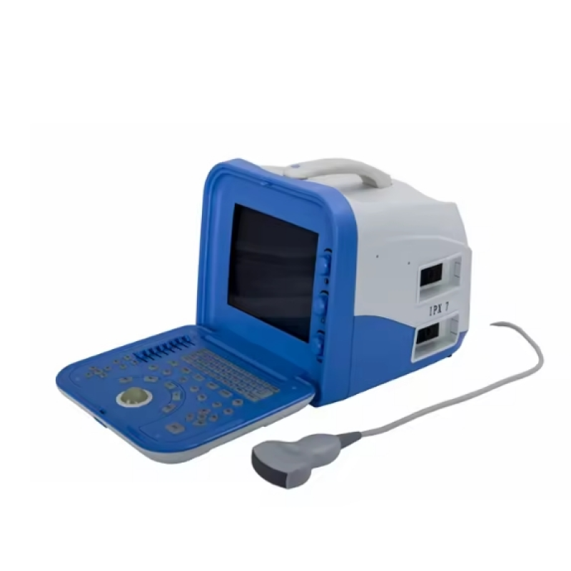 Veterinary Ultrasound Manufacturer - Portable 12-inch B Mode