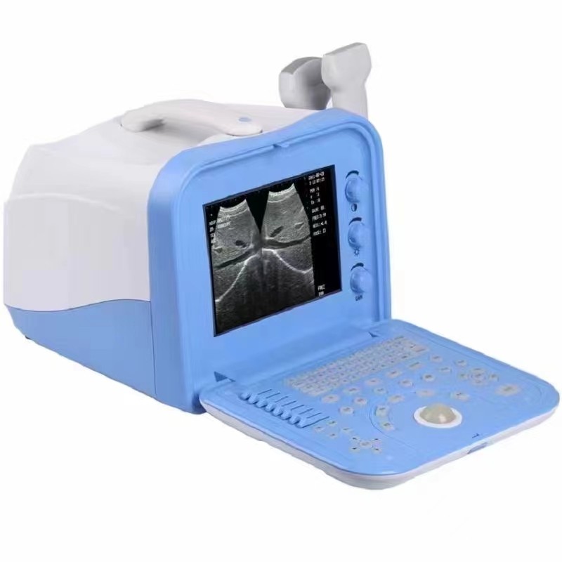 Veterinary Ultrasound Manufacturer - Portable 12-inch B Mode