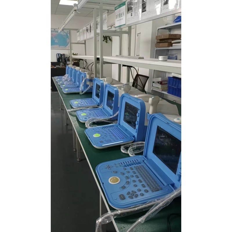 Veterinary Ultrasound Manufacturer - Portable 12-inch B Mode