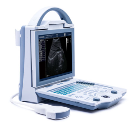 Portable Ultrasound Machine Supplier - KX-5600 B Mode