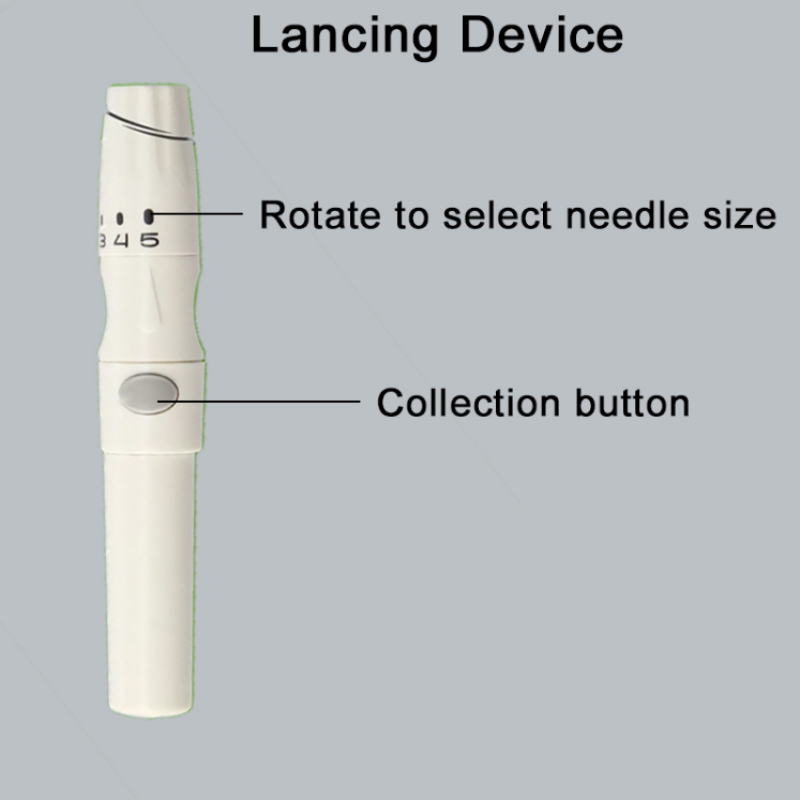 Blood Glucose Meter Factory - International LCD Display