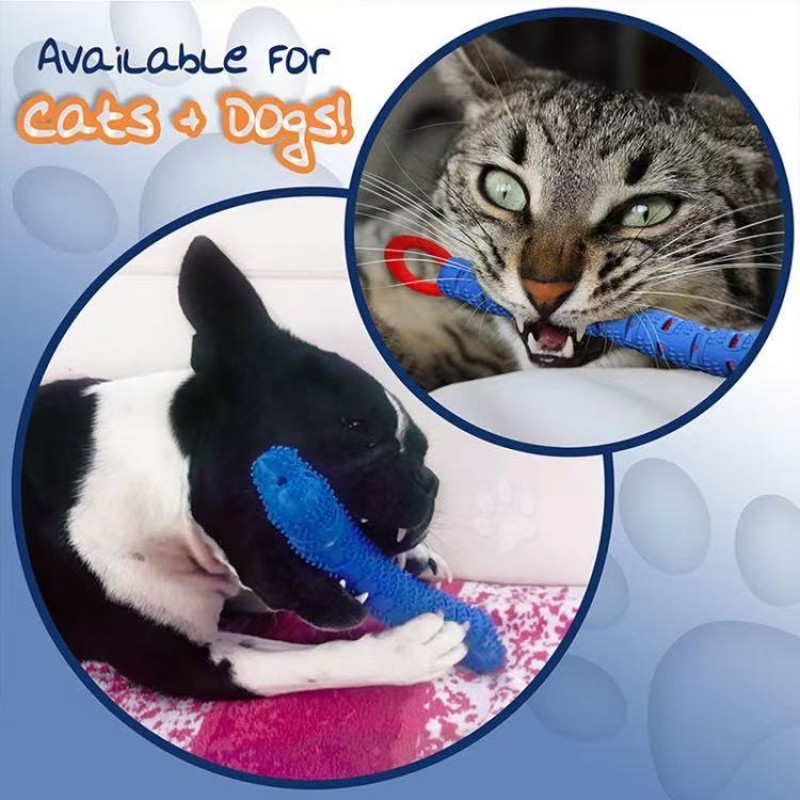 Pet Teeth Brush Supplier - Eco Friendly Chew Toy