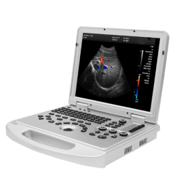 Veterinary Ultrasound Supplier - 3D/4D/5D Color Doppler