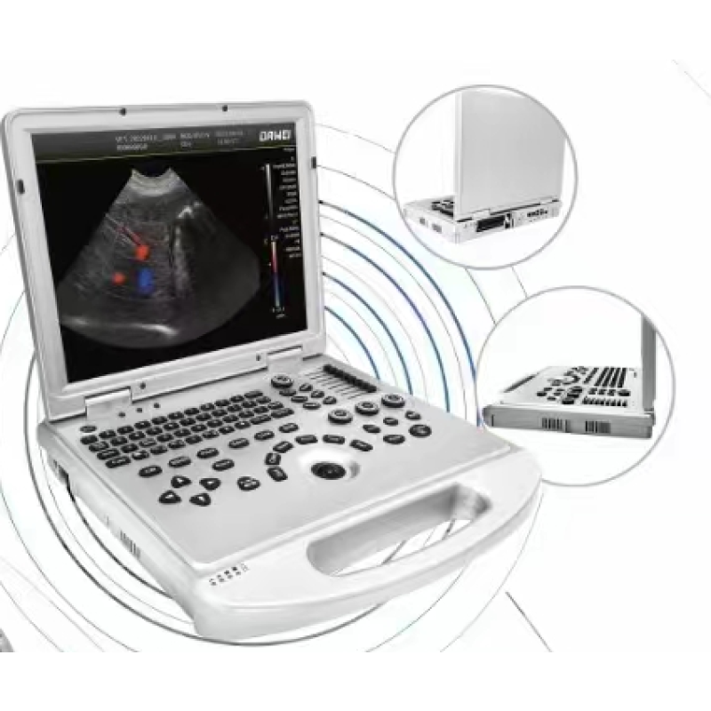 Veterinary Ultrasound Supplier - 3D/4D/5D Color Doppler