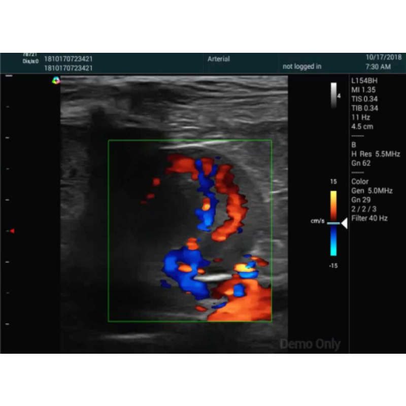 Veterinary Ultrasound Supplier - Color Doppler Small Animal