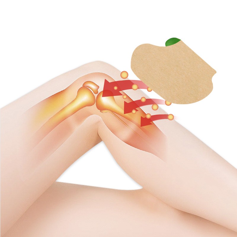 Wormwood Pain Patch Supplier - Knee Joint Relief