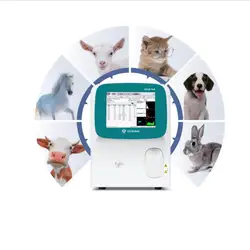 Veterinary Hematology Analyzer Factory - Automatic 5-Part