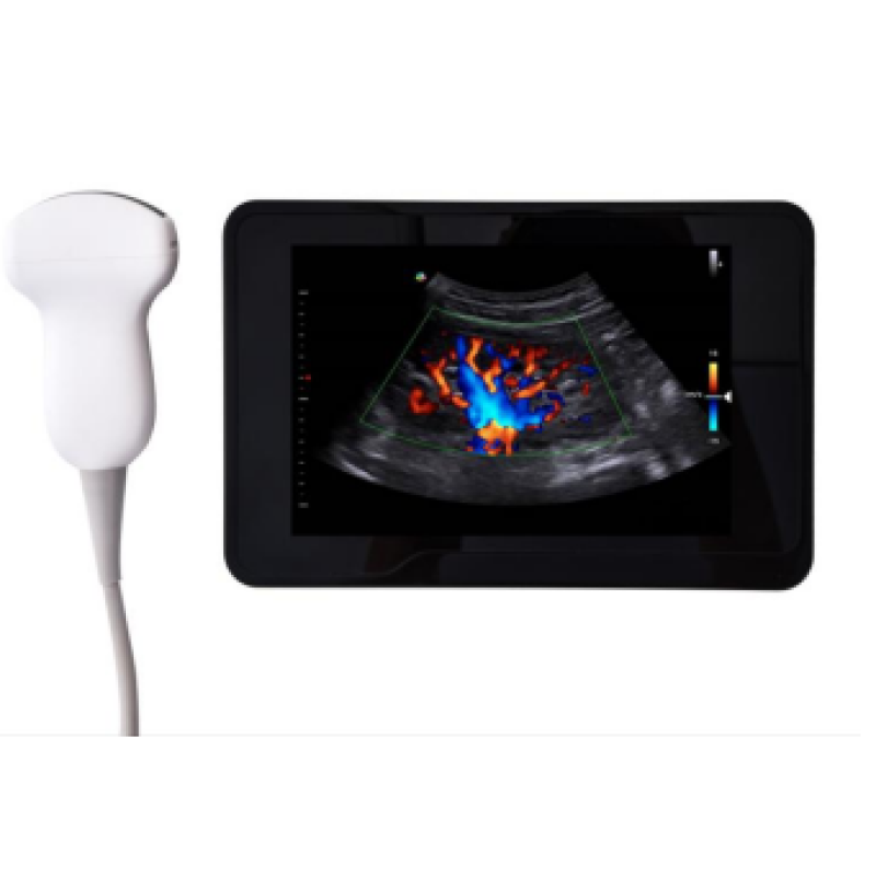 Veterinary Ultrasound Supplier - Color Doppler Small Animal