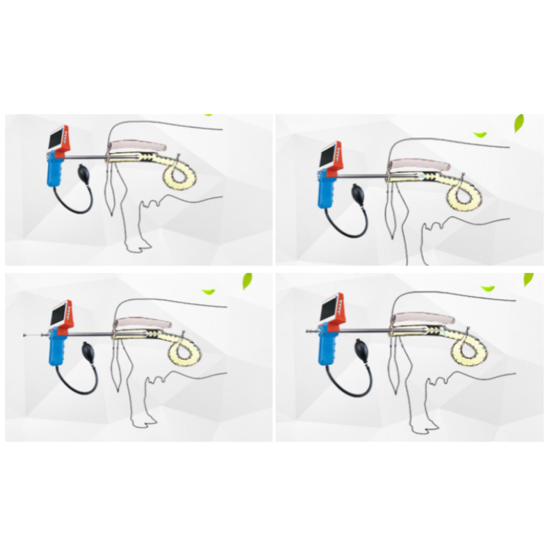 Animal Insemination Kit Supplier - Digital AI Gun