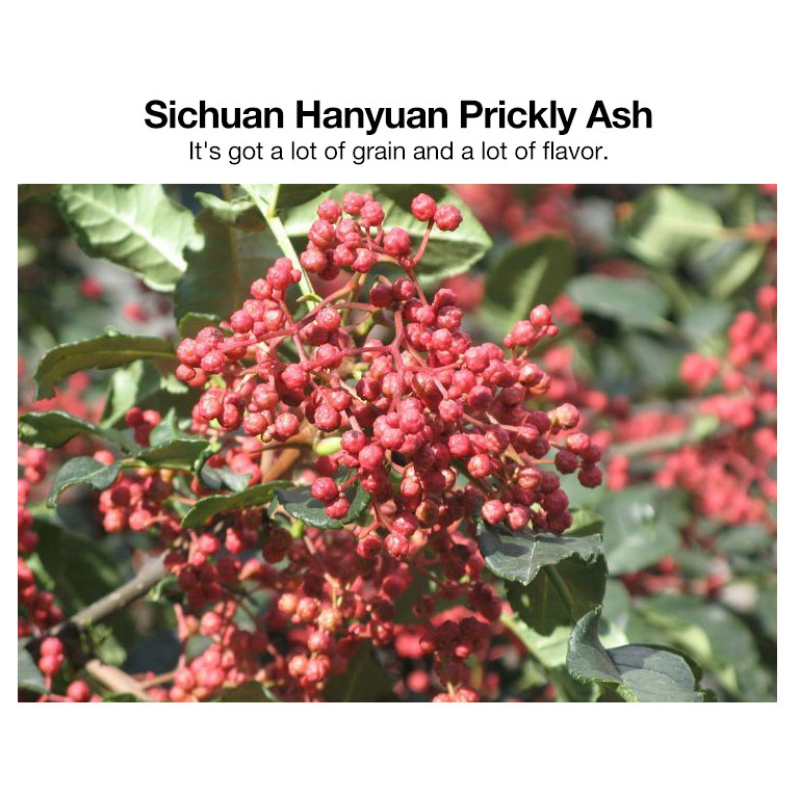 Fat Burning Patch Factory - Navel Slimming Products