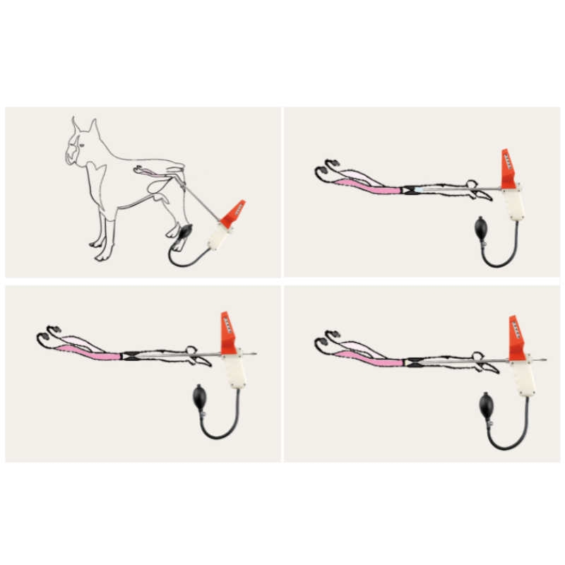 Animal Insemination Kit Supplier - Digital AI Gun