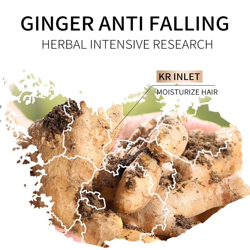 Ginger Essence Hair Mask Improves Frizz and Dryness Nourish and Smooth Hair Nourish Smooth Oil Control Moisturizing Hair