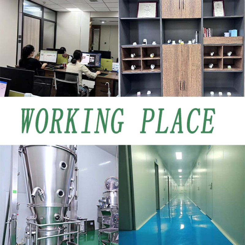 Blueberry Extract Supplier - 100% Natural Water Soluble