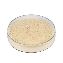 Chitosan Oligosaccharide Supplier - Water Soluble Food Grade