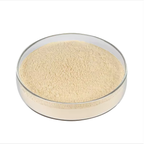 Chitosan Oligosaccharide Supplier - Water Soluble Food Grade