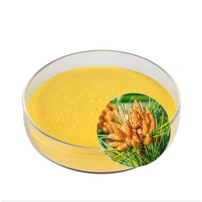 Pine Pollen Powder Manufacturer - Cell Wall Broken