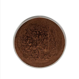 Coriolus Versicolor Extract Supplier - Polysaccharides Herbal