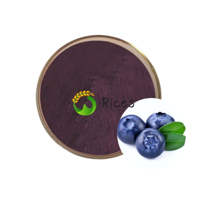 Blueberry Extract Supplier - 100% Natural Water Soluble