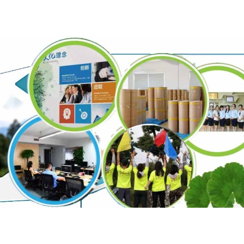 Marine Collagen Powder Supplier - Hydrolyzed Nano Fish