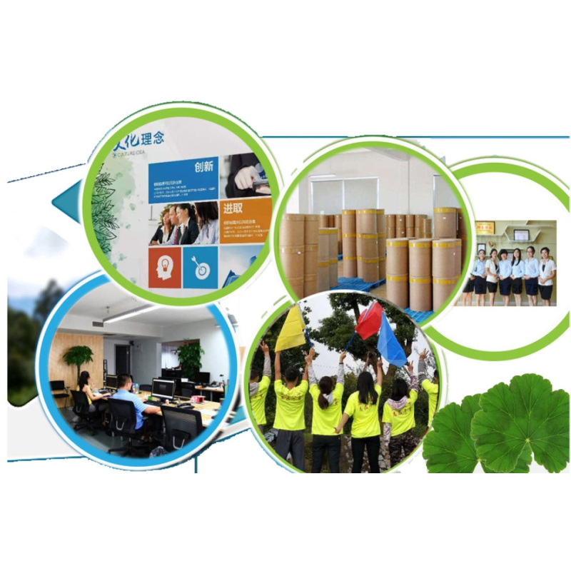 Resveratrol Powder Manufacturer - 50% 98% Trans Skin