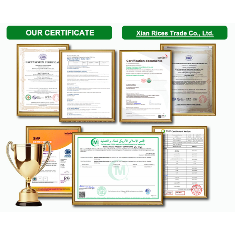 Chlorella Powder Supplier - 100% Pure Organic