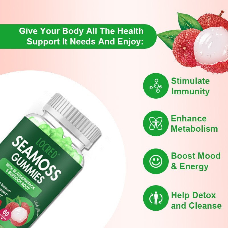 Sea Moss Gummies Factory - Irish Seaweed Vegetarian