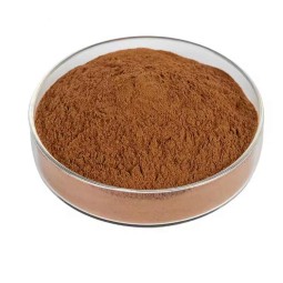 Lions Mane Extract Factory - 50% Polysaccharides Powder